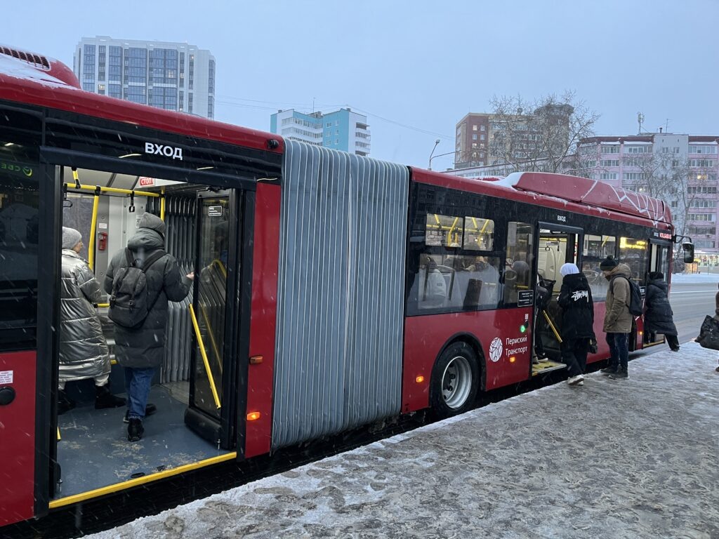    Фото: В курсе.ру Полина Анкушина