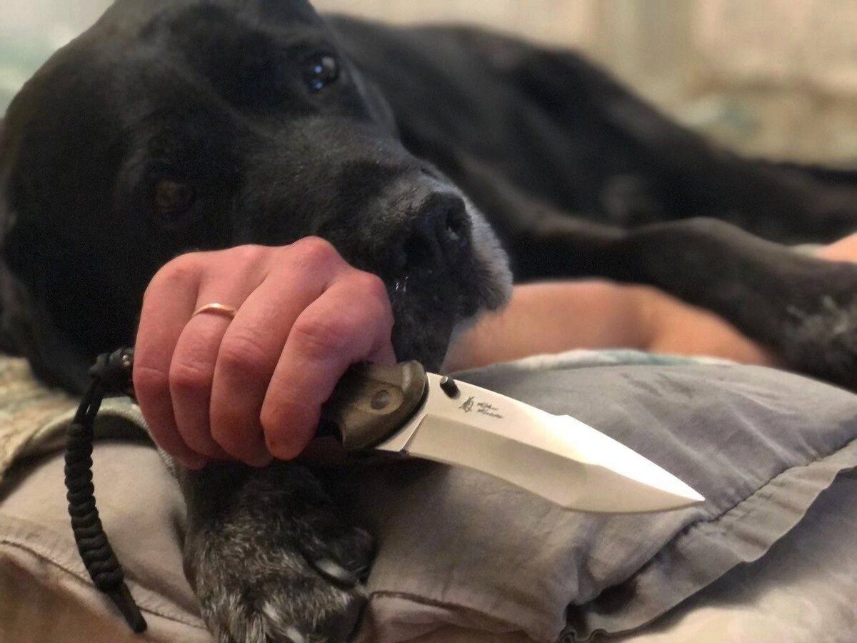 Нож: Психология поединка на острие лезвия