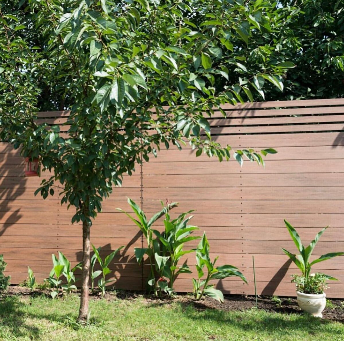 Заборы из ДПК