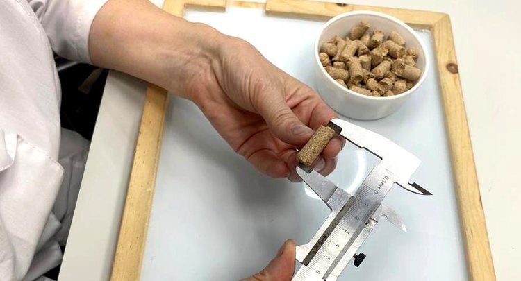    При каких условиях получают рапсовые и подсолнечные жмыхи высокого качества