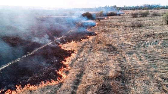    Из-за аномально теплой зимы сезон лесных пожаров в центральной России может начаться уже в марте Ирина Петрова