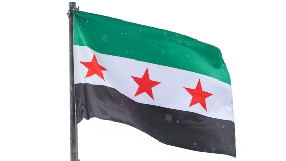    Путин впервые поговорил по телефону с президентом переходного периода Сирии Богдан Герцен