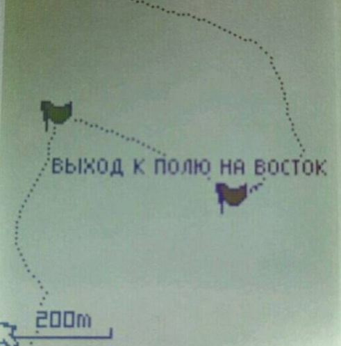 Мой путь по компасу на восток от левого флажка к правому. Трек с экрана навигатора Garmin eTrex 10. Извиняюсь за качество фотографии