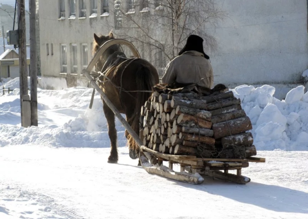 Фотография из открытого источника.