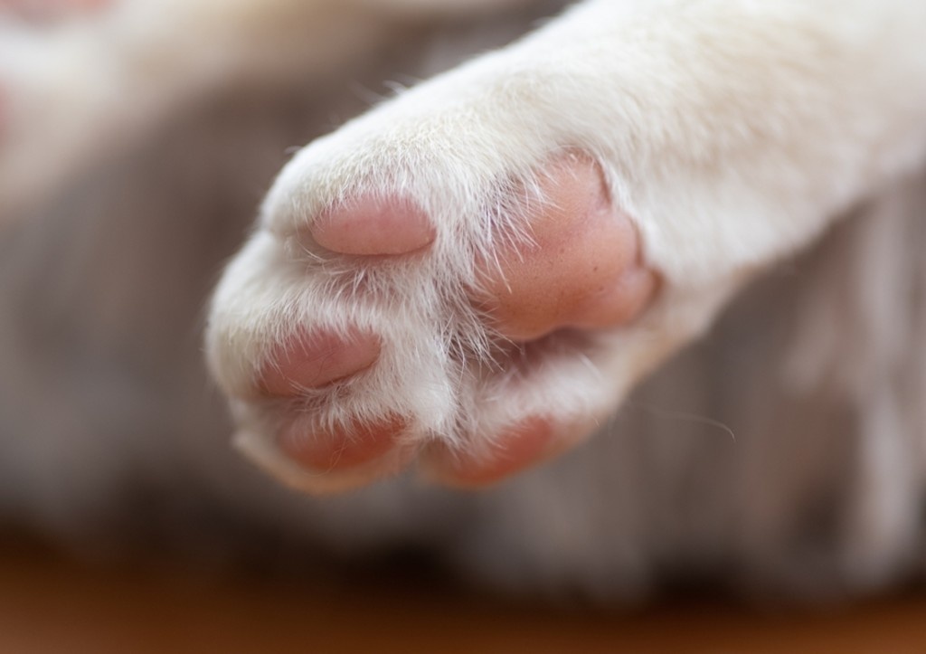    Фото: news.ru Георгий