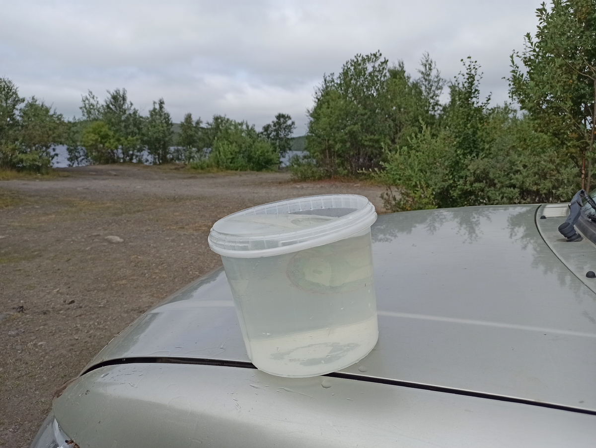 Вода из озера Лапоть! Время одиннадцать утра