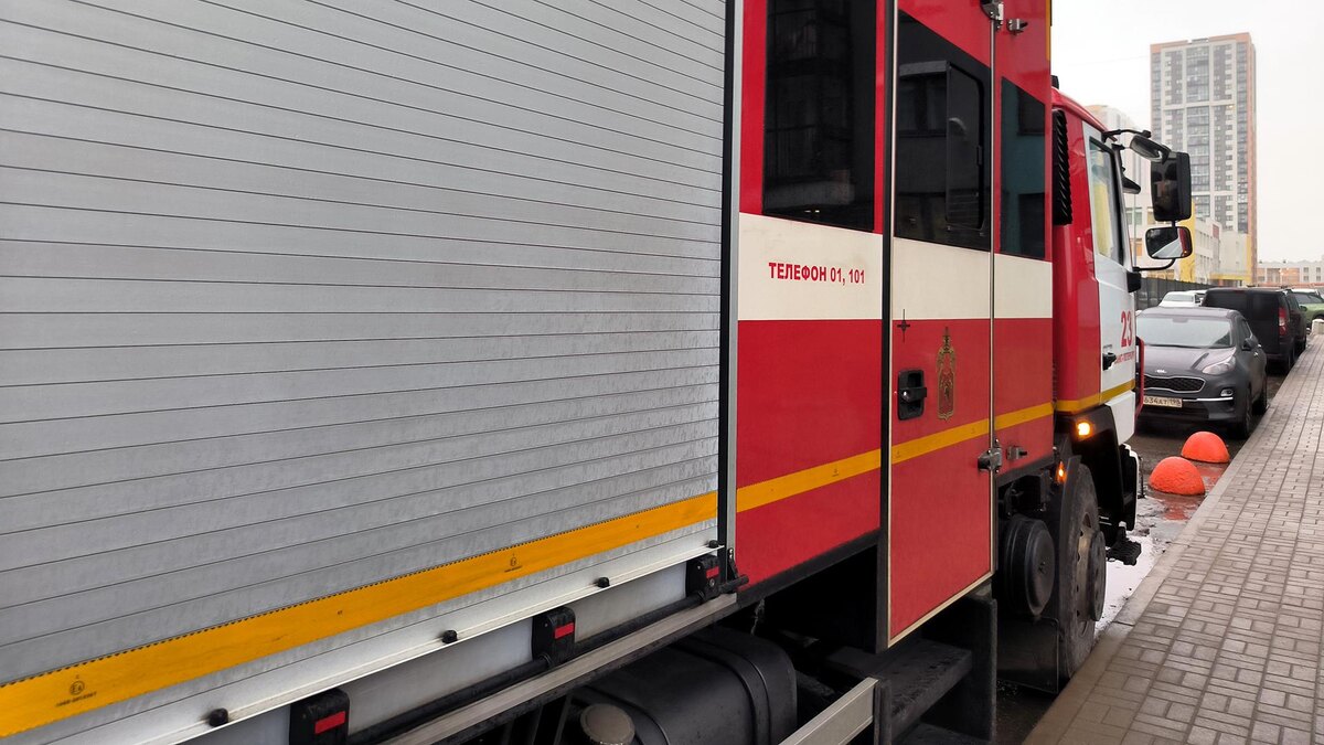    Фото: Maksim Konstantinov/globallookpress.com