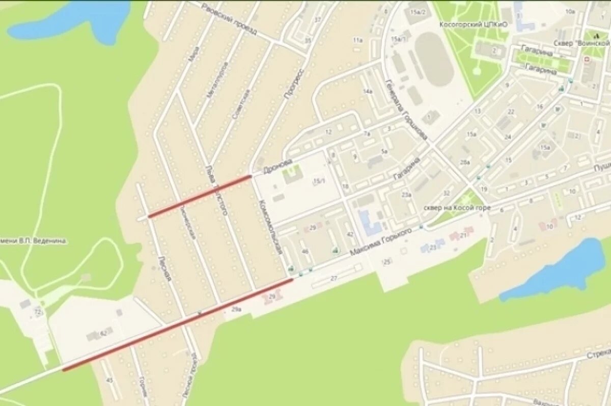    В связи с «Лыжнёй России-2025» в Туле ограничат движения транспорта