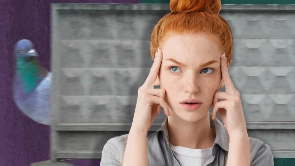 Коллаж © Life.ru Фото © Shutterstock / FOTODOM / Cast of Thousands