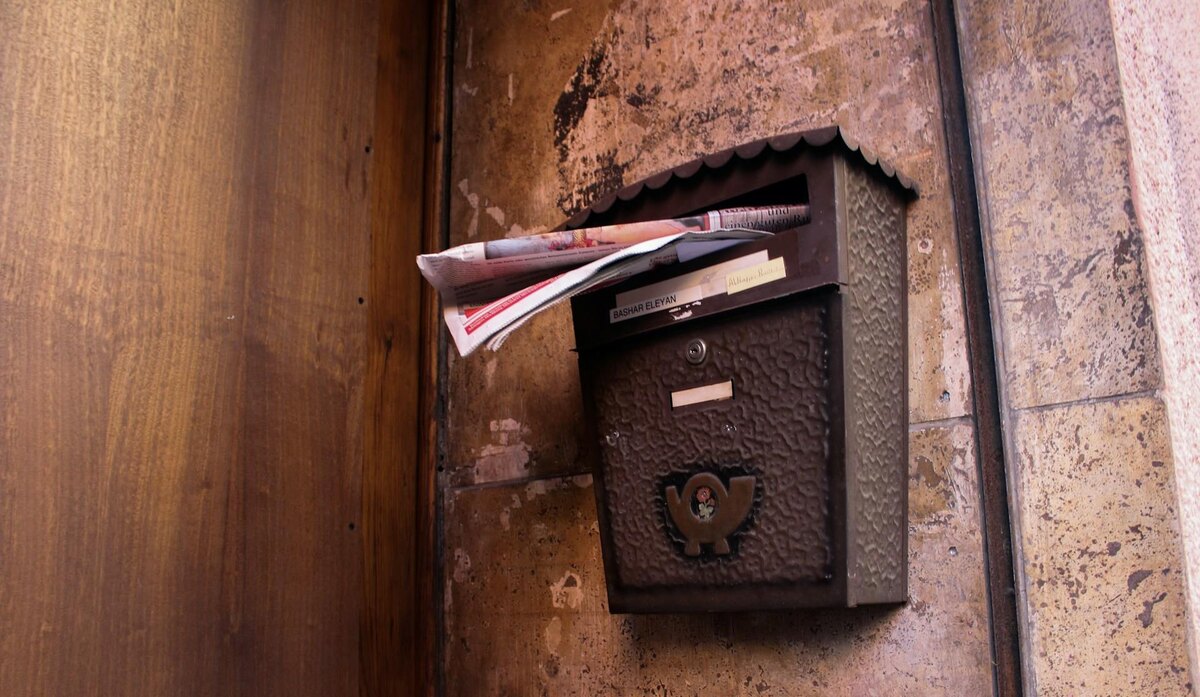 Фото: Thanhy Nguyen / Unsplash