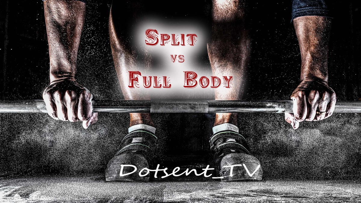 Сплит vs Full Body: Какой тип тренировок принесет вам максимальный результат? 💪🔥 #фитнес #тренировки #спорт #набормассы #похудение #здоровье #fullbody #сплит #dotsent_tv #здоровыйобразжизни