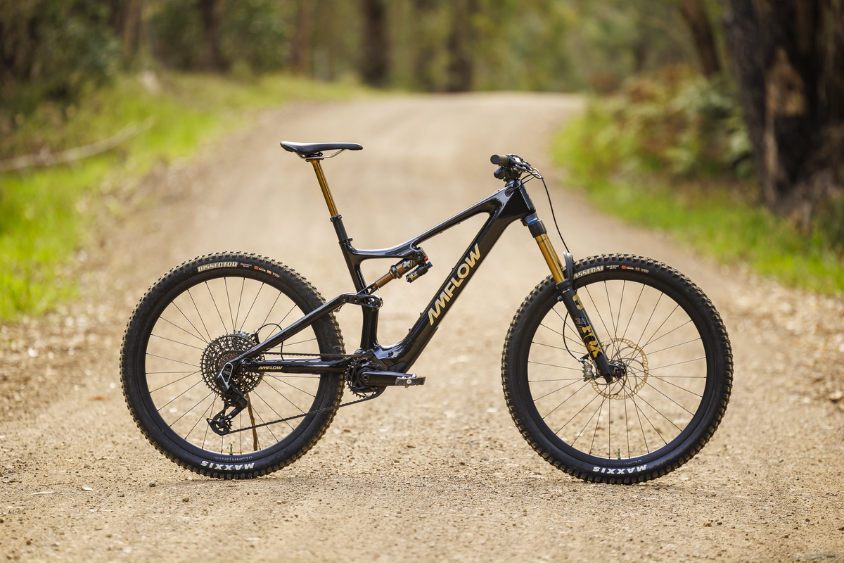 Amflow PL Carbon, оснащённый мотором DJI Avinox M1, стал самой обсуждаемой новинкой 2024 года.