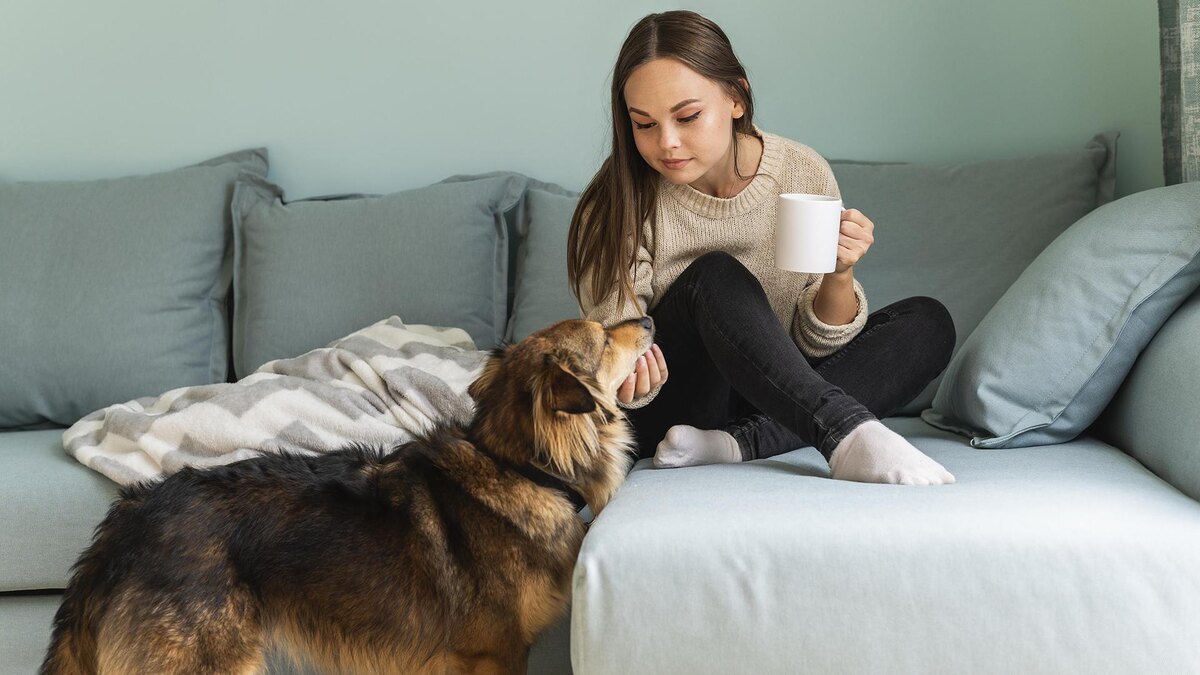 Фото: freepik.com