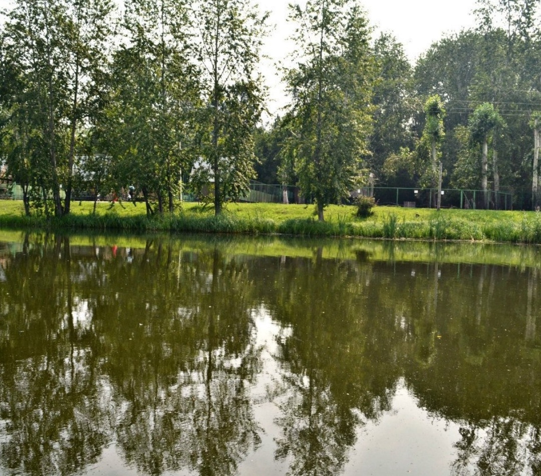 Территория зоопарка 