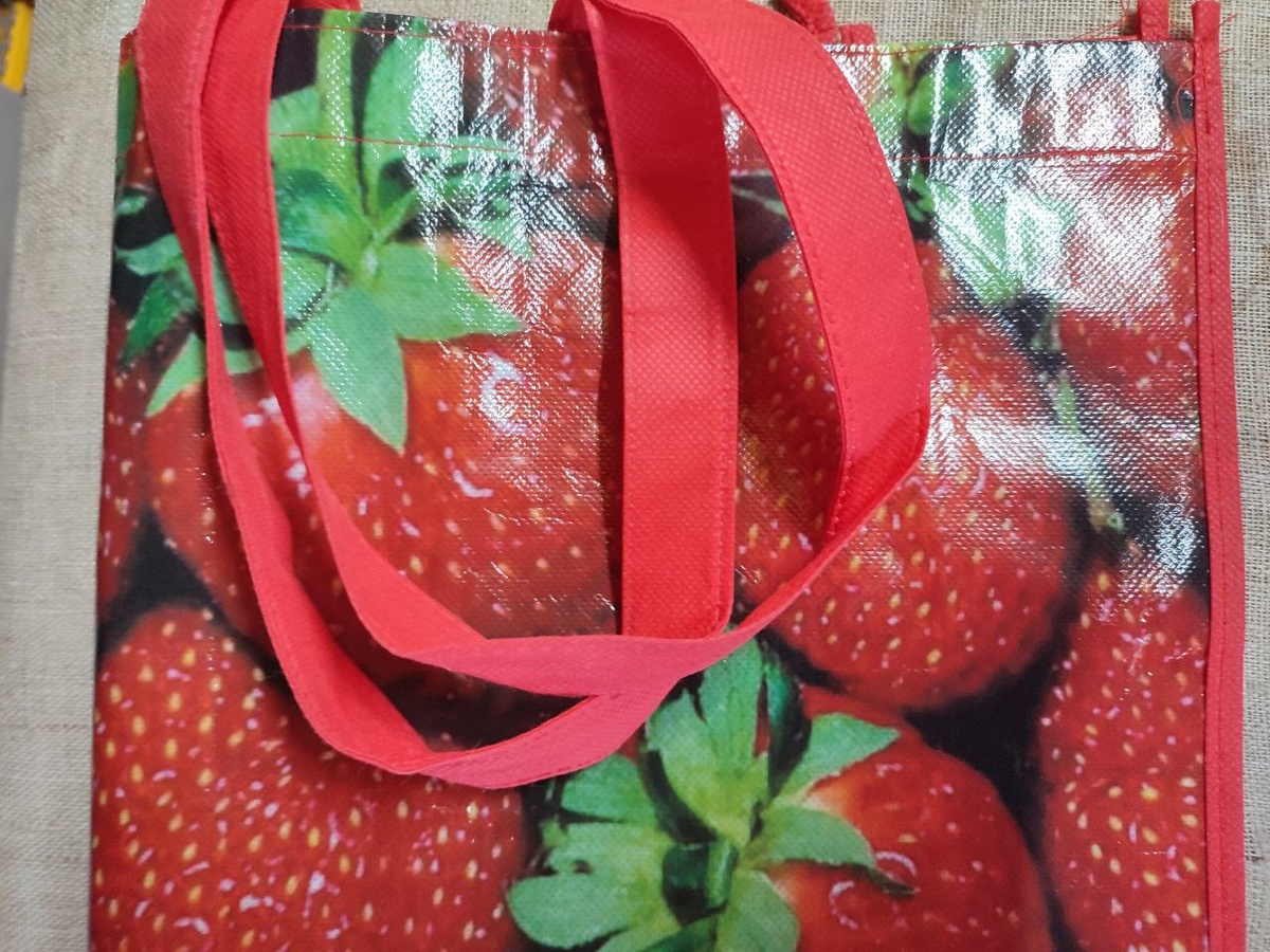 Фото автора. ЭТОТ СОВЕРШЕННО НОВЫЙ ПАКЕТ-СУМКА ИЗ НУЛЕВЫХ. ЛЕЖАЛ НА ДНЕ КОРОБКИ С ОДЕЖДОЙ