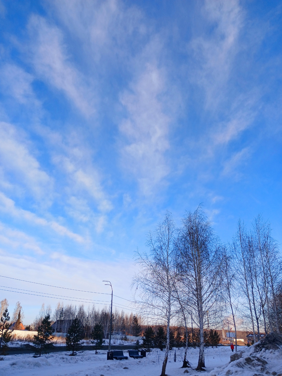 "Доброе утро, мир! Ты прекрасен!" Фото автора