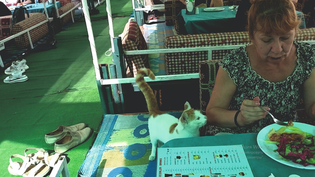 Обед в Сападере каньоне: «Ну, ты же дашь мне кусочек, правда?"