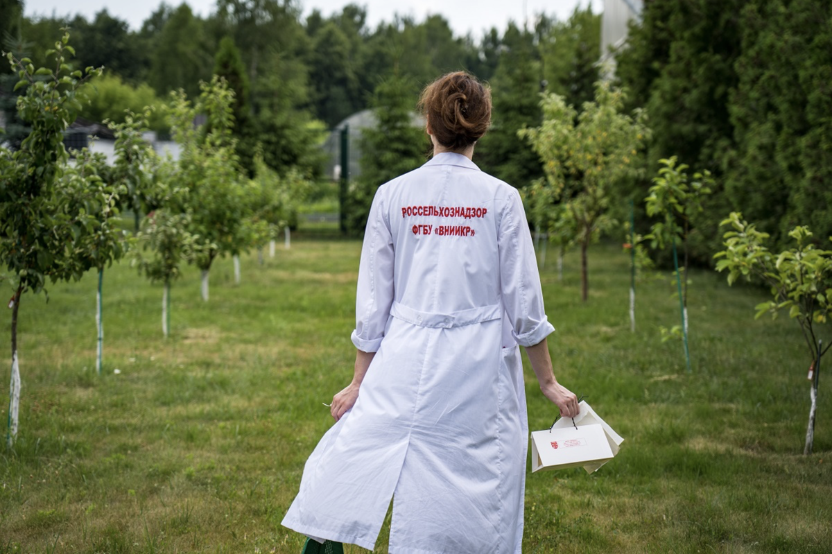 Фото: Александр Плонский / «Агроэксперт»
