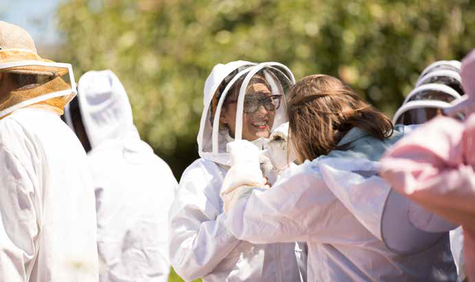 Beginning Beekeeping, Garden By Nature, San Francisco, California