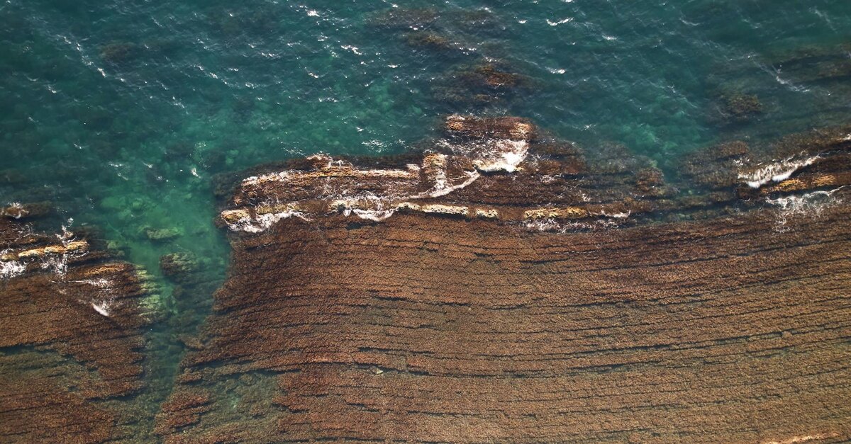 Фото: Vladislav Zakharevich / Unsplash