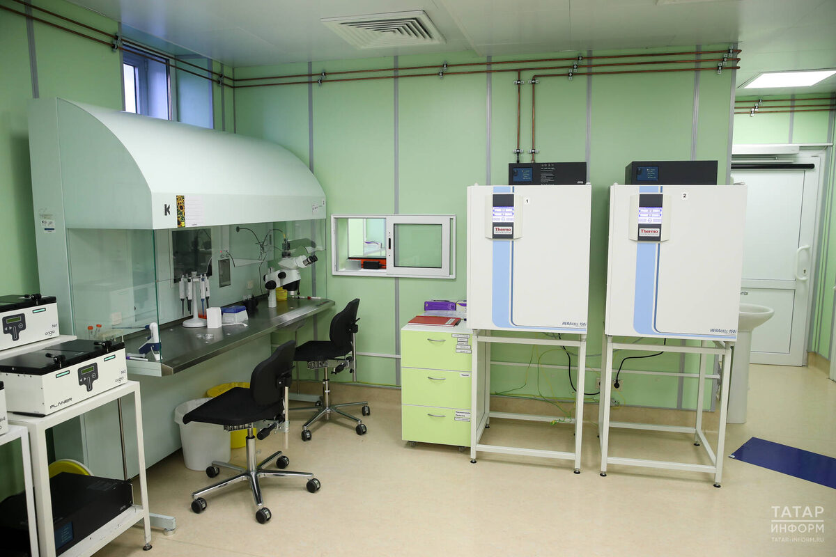 Фото: © Салават Камалетдинов / «Татар-информ»