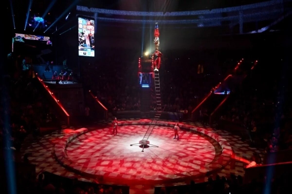    Собянин пригласил жителей столицы принять участие в опросе о будущем цирка