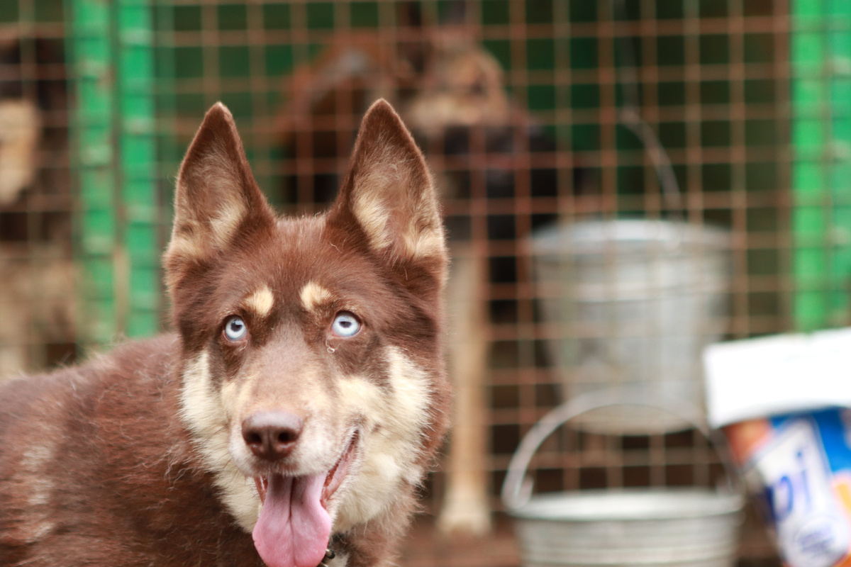 Ну вот как-то так. Не мы выбираем себе сами хозяев...