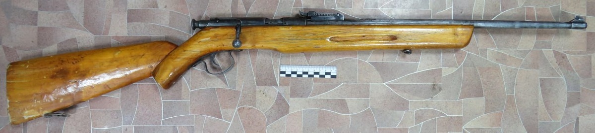    Полицейские изъяли у 64-летнего жителя Октябрьского района ружье и более 100 патронов Кристина Просвиркина