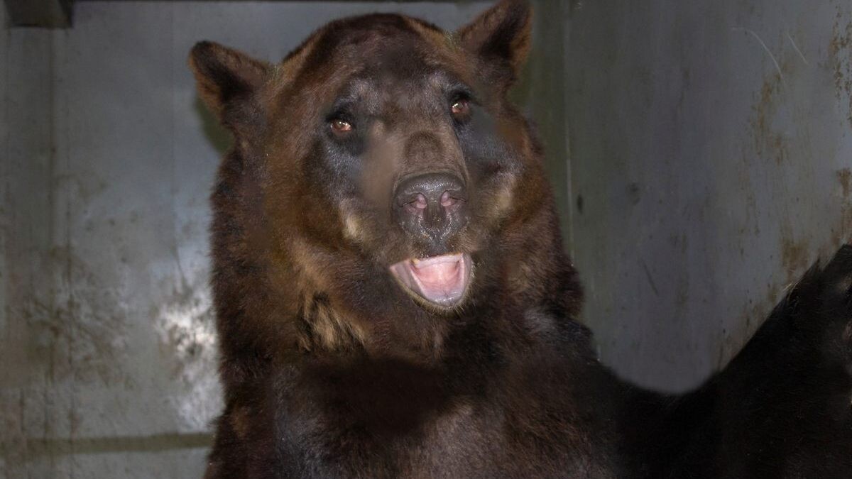    Фото: издательство "Пресса"