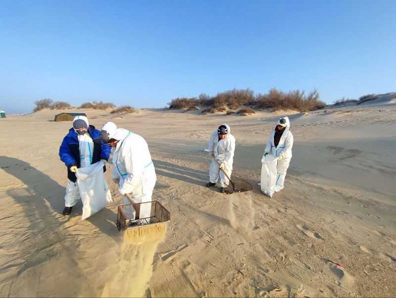    Фото: пресс-служба администрации Краснодарского края