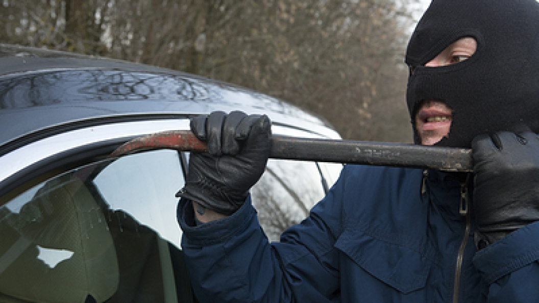    Nikolay Gyngazov/Globallookpress