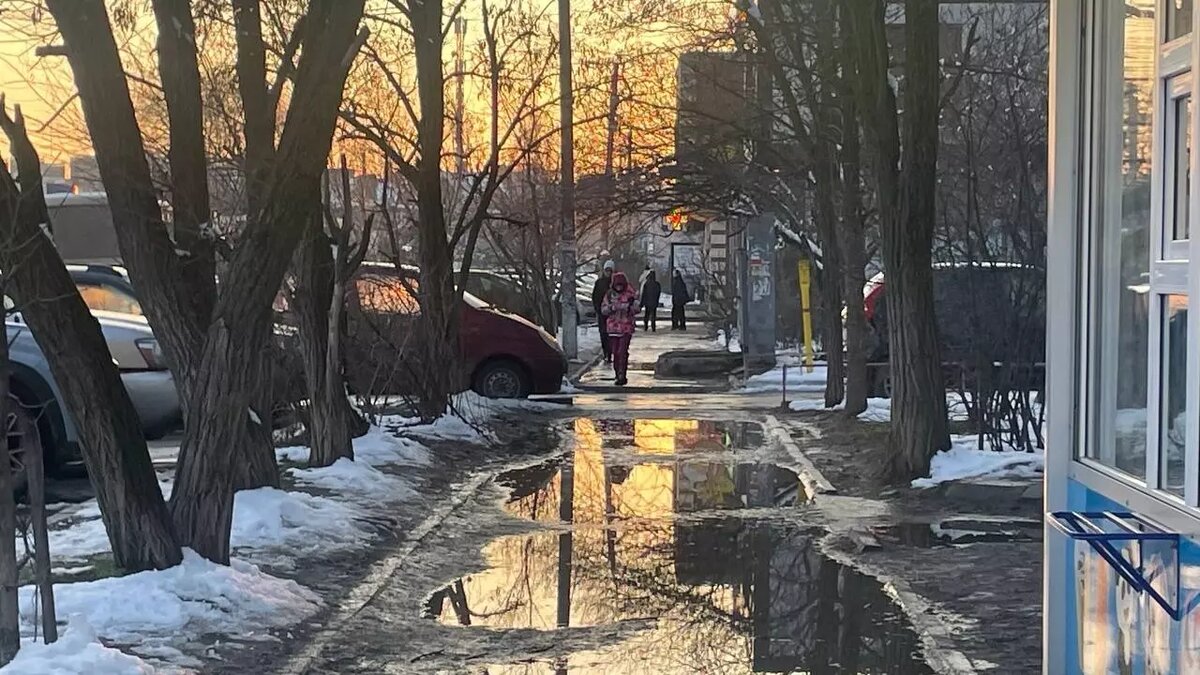     Источник: rostovgazeta.ru