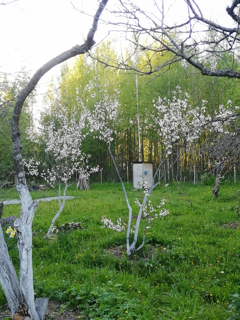 А в 2024 уже получше. 18 мая