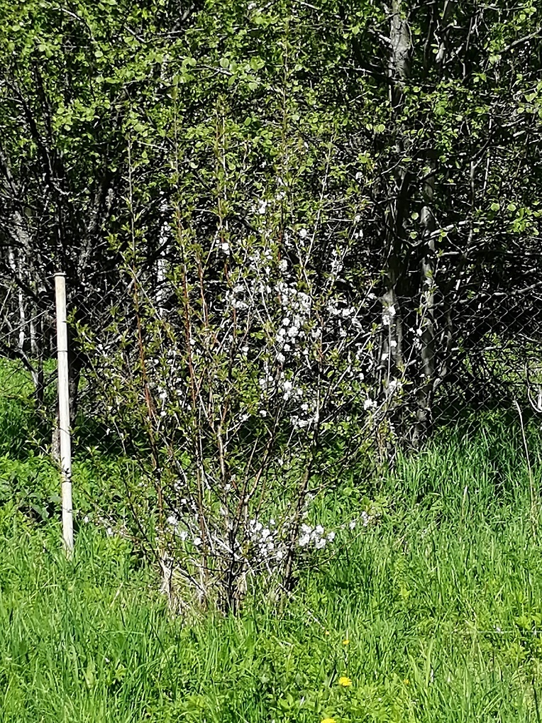 Таким был в 2022 году