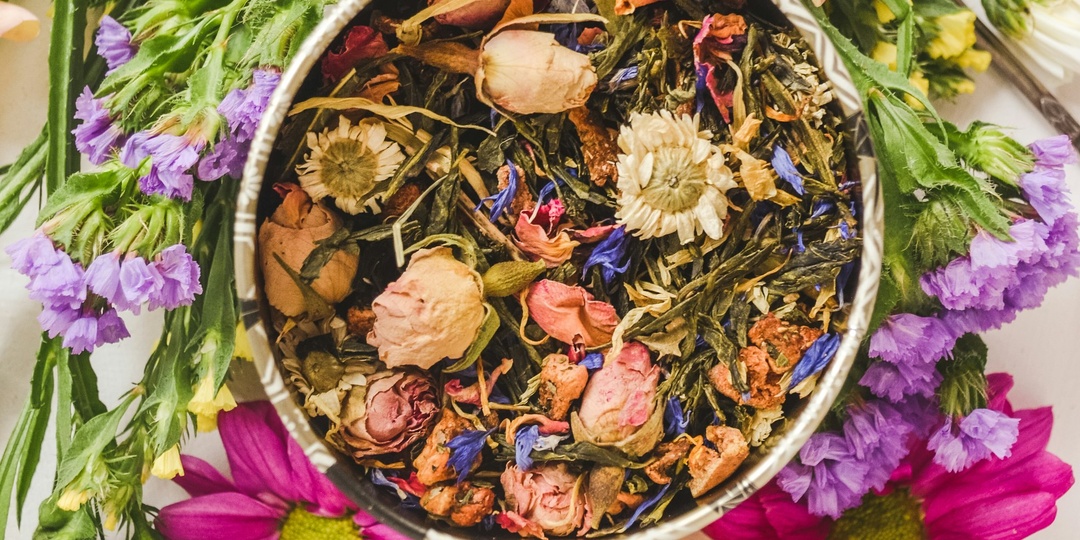 От трав и заклинаний до нанороботов: как изменилась медицина за тысячи лет