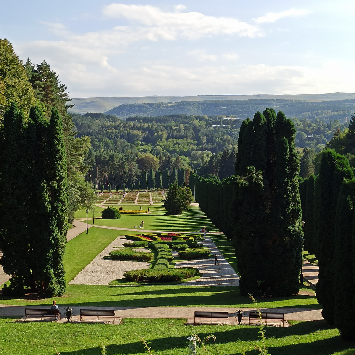Долина Роз рядом с санаторием "Имени Г.К Орджоникидзе"
