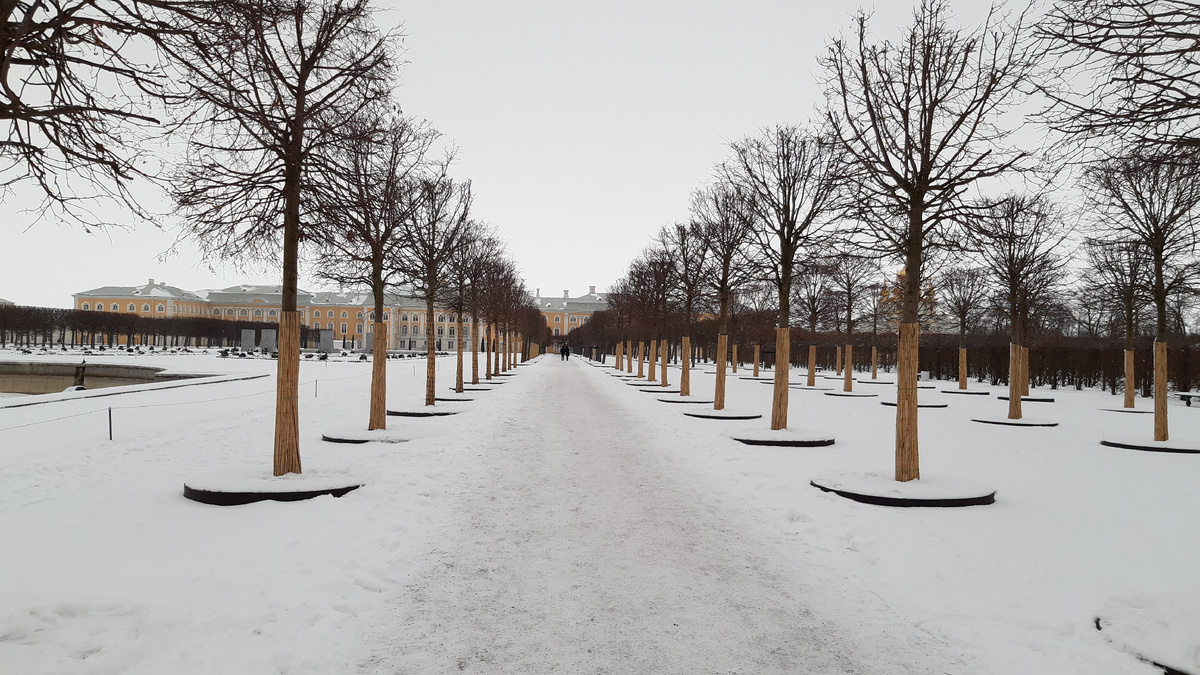 Петергоф.Верхний парк.фото автора