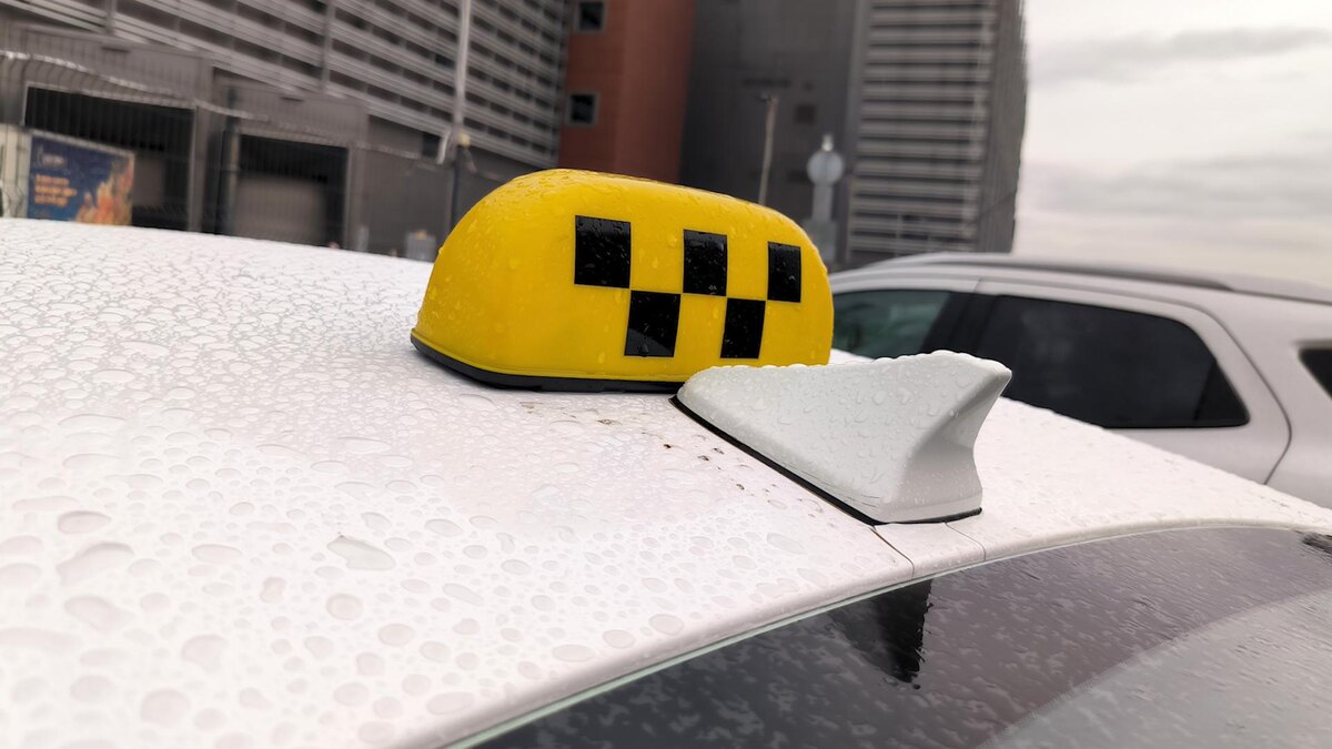    Фото: Maksim Konstantinov/globallookpress.com