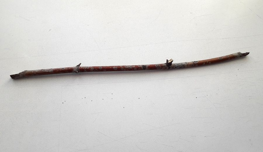 Некоторая неровность палочки и ее сучковатость даже приветствуются.