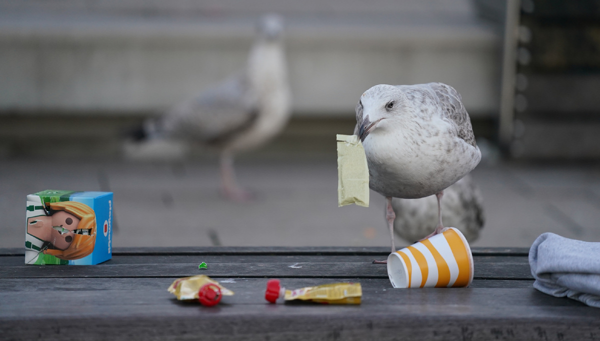 Фото: © Marcus Brandt/ dpa/ Global Look Press