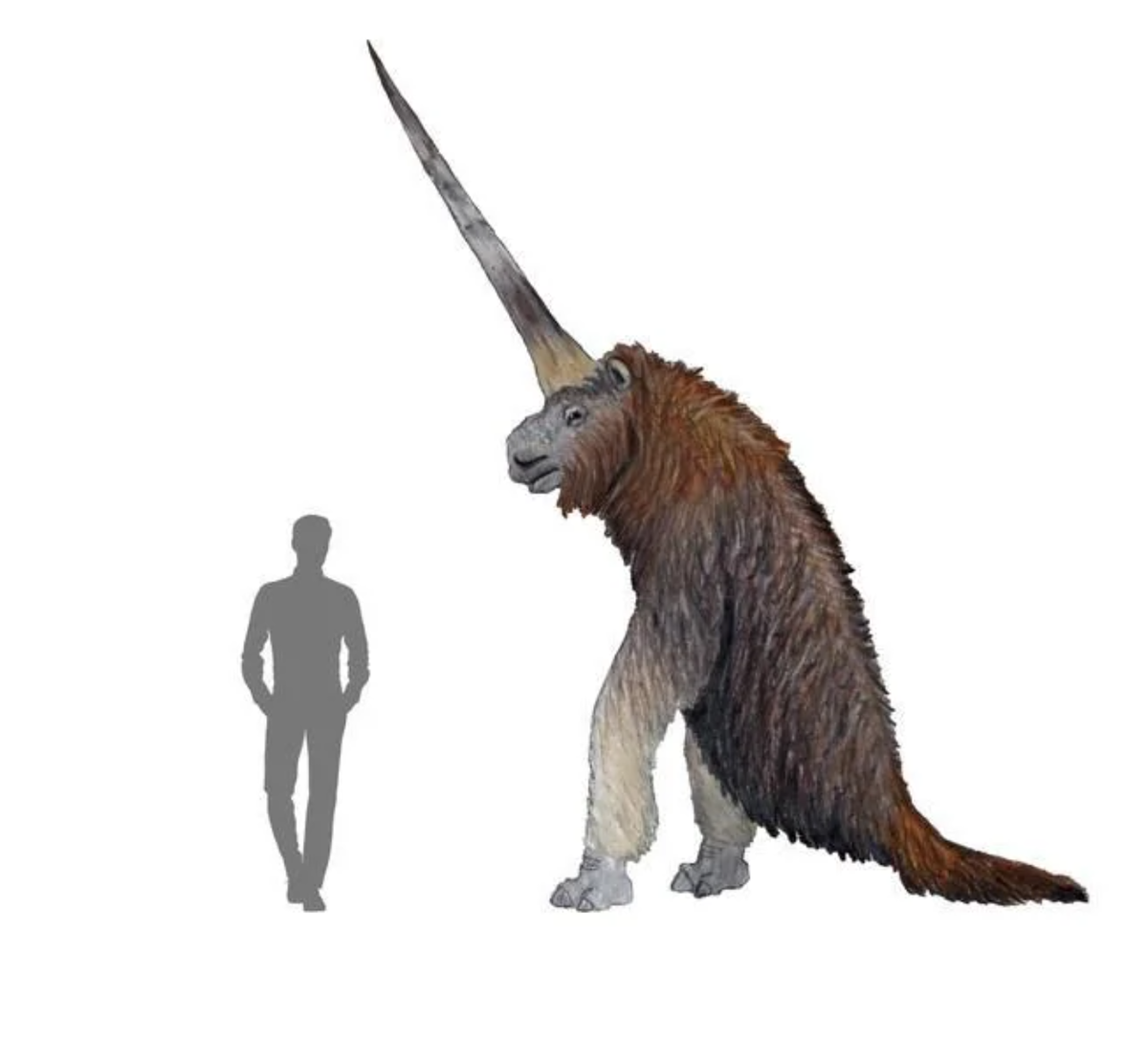 Как в представлении художника могло выглядеть данное животное