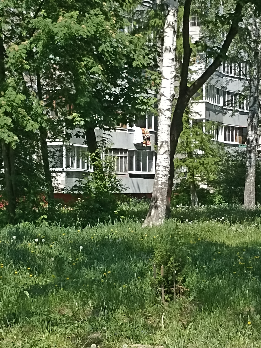 Ольгин коврик летом висит над нашим балконом