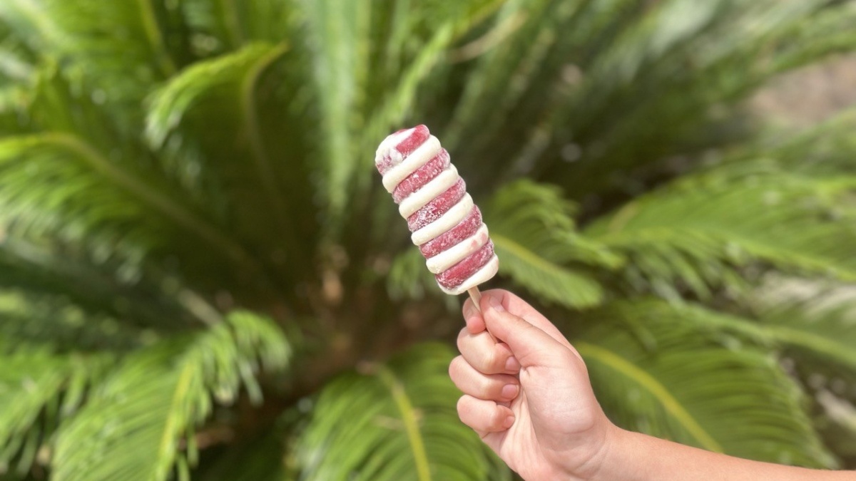 ООО «СДК»📷
