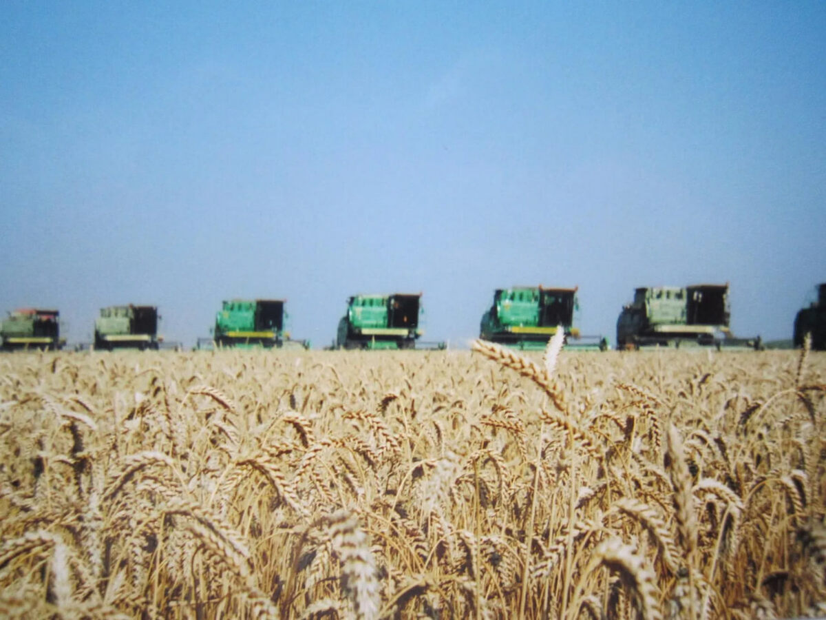 Фото Михаила Лаханова