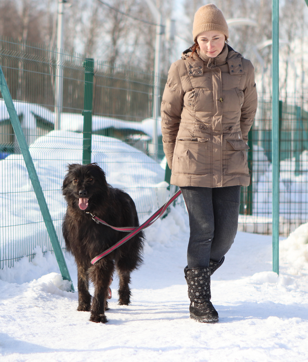 Это Джесси и она никак не может быть тем Кайзером, хотя по внешности такое же лохматое чудо. И такое же доброе. Это вам для визуализации небольшого рассказа:)