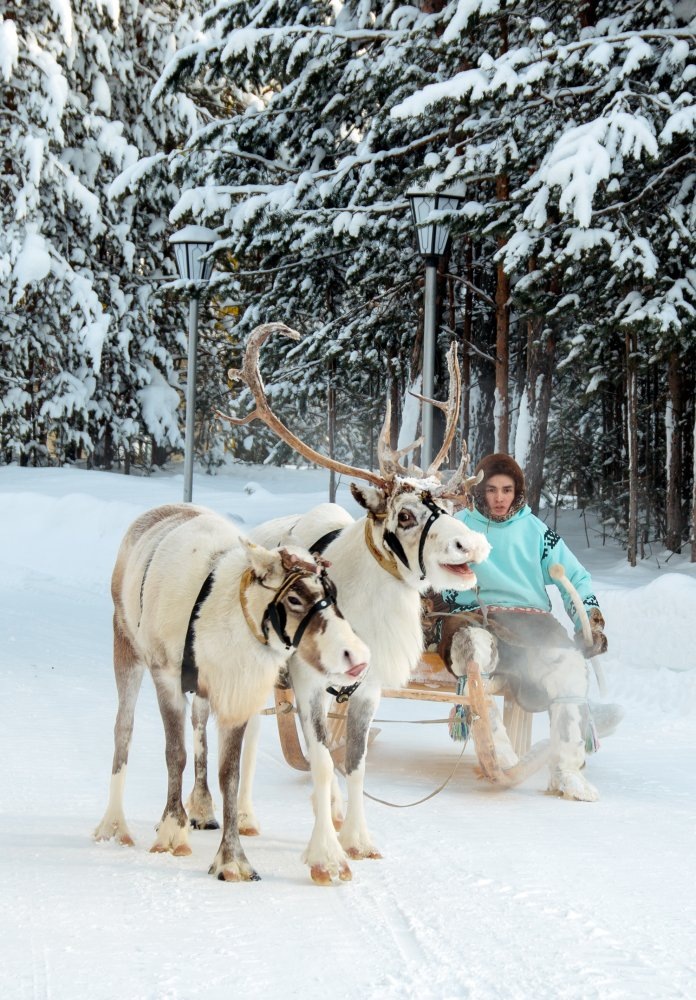    Мексиканский телеведущий в Салехарде попробовал оленью кровь