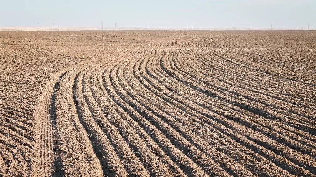     Источник: 1MI