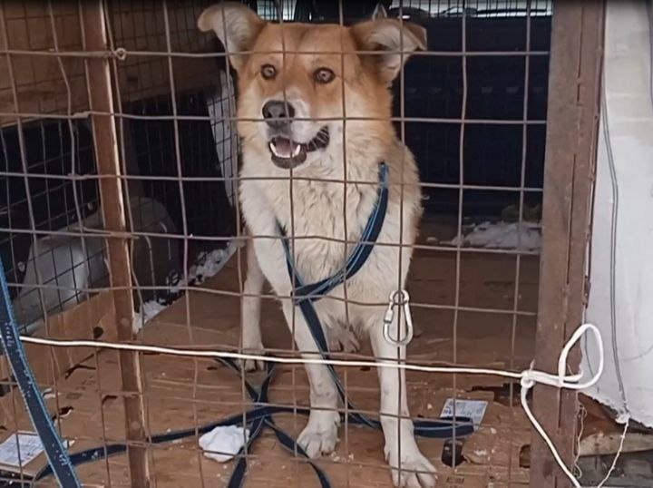 Надо сказать, не смотря на милую внешность, она могла укусить при любом удобном случае.