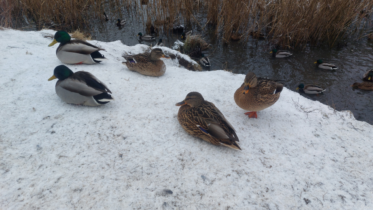 Из архива автора