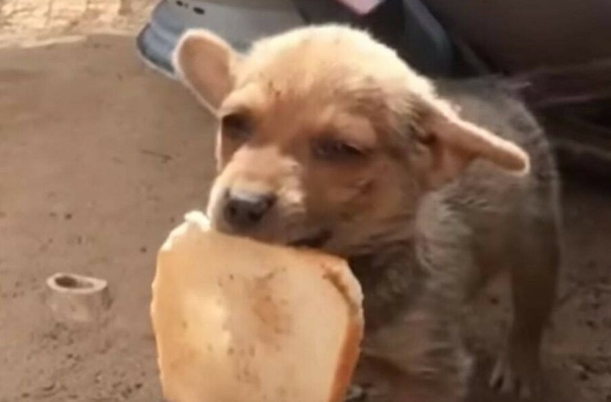 Готов отдать вам, что у него есть!!! 